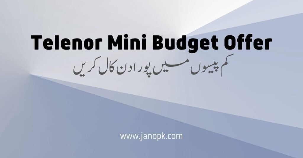 Telenor Mini Budget Offer