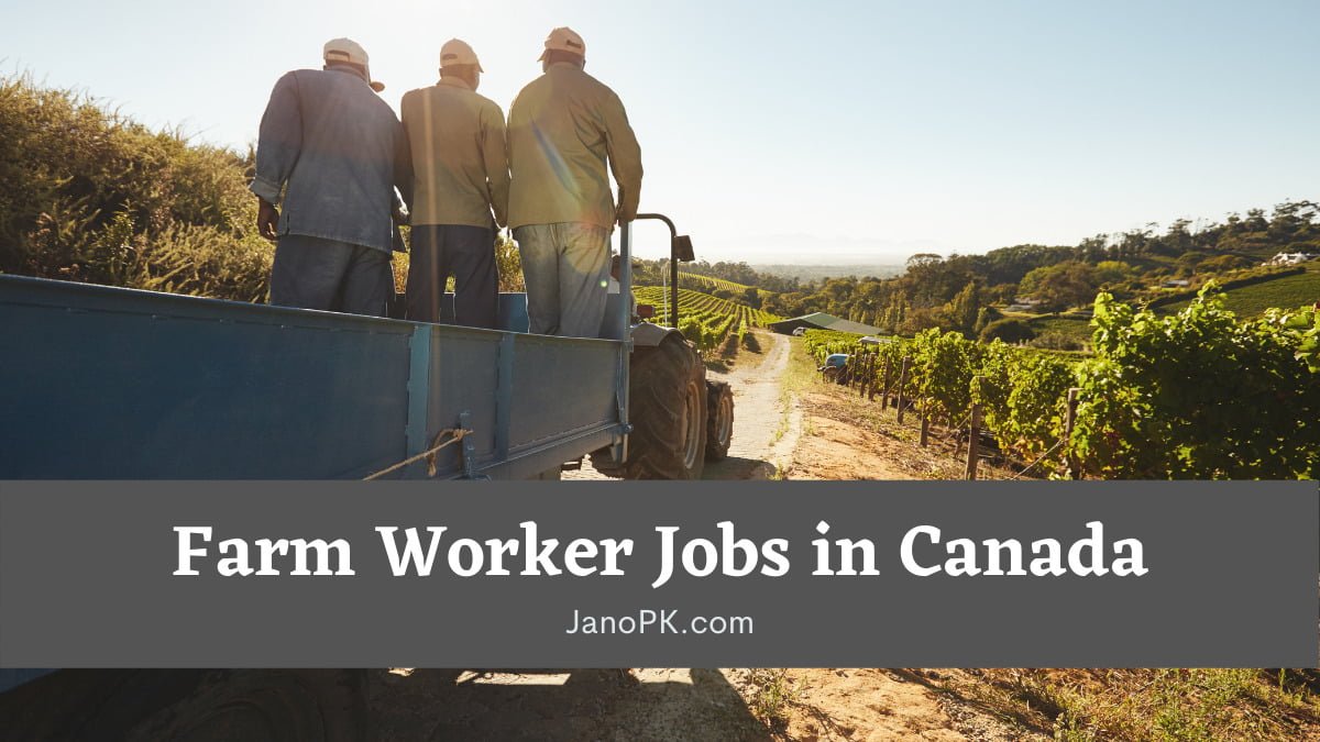 15+ Farm Worker Jobs in Canada for 2024