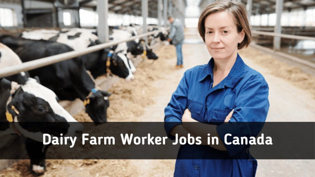 Jobs In Dairy