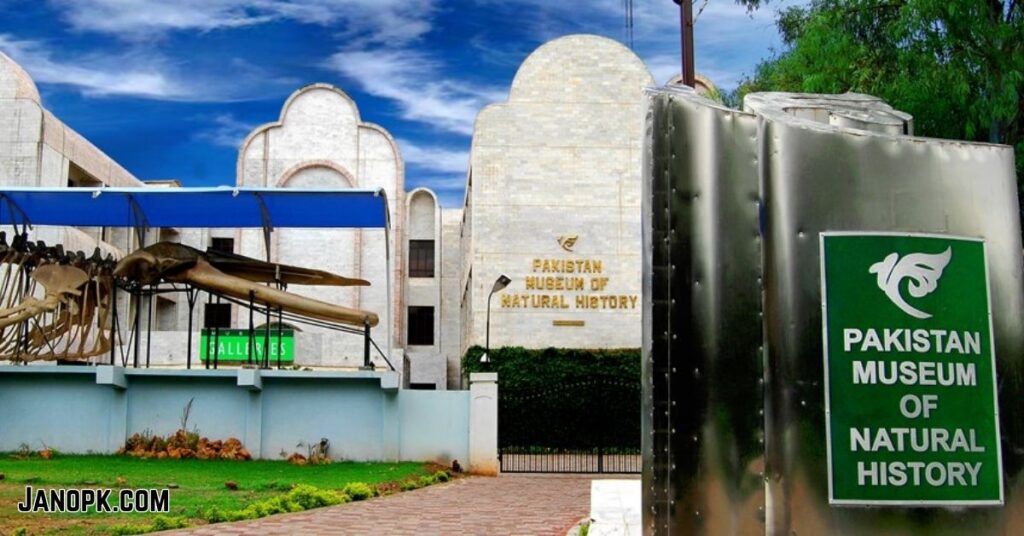 Top 10 Best Places to Visit in Islamabad 8 Pakistan Museum of Natural History
